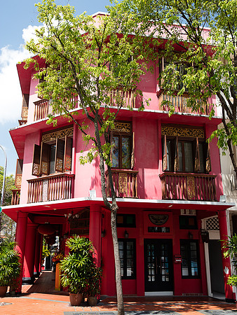 Pink House