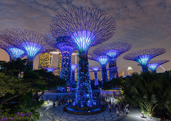 Super Trees Blue