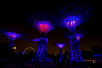 Super Trees II