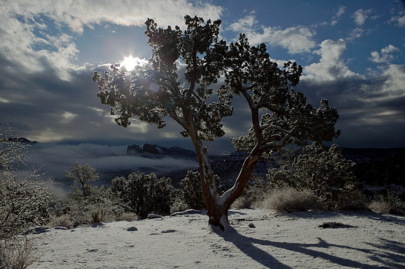 Sedona Winter