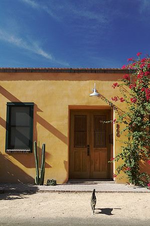 The Barrio, Tucson