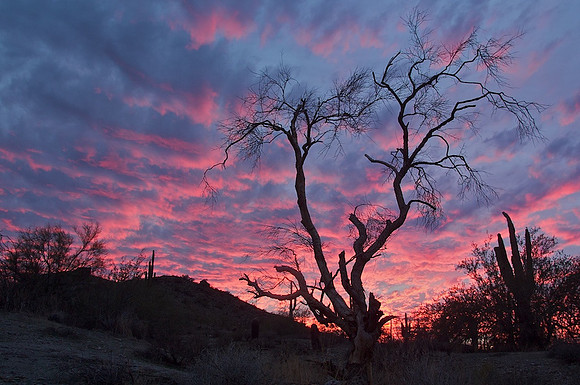 South Mountain Park, Phoenix