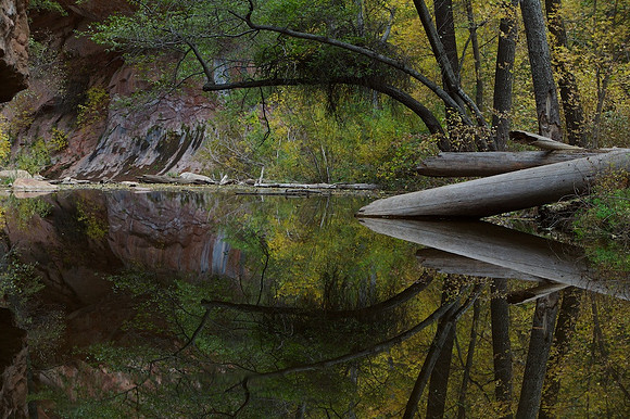 West Fork of Oak Creek