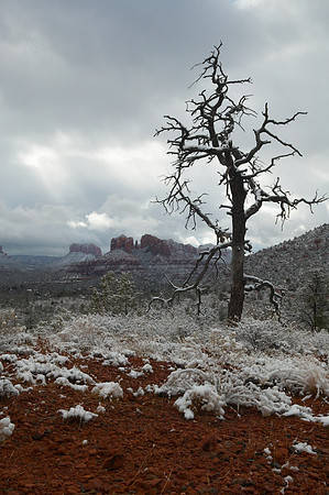 Sedona Winter
