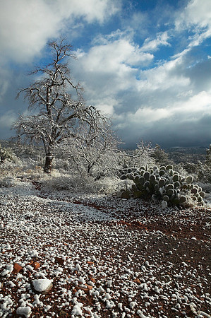 Sedona Winter