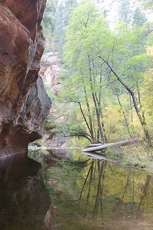 West Fork of Oak Creek