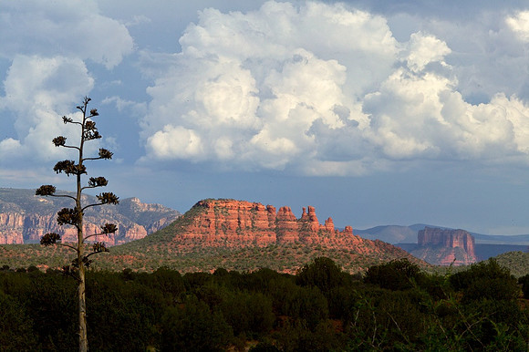 The Elders, Sedona