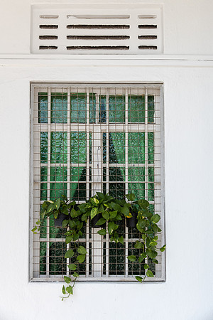 Green Window