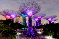 Super Trees I
