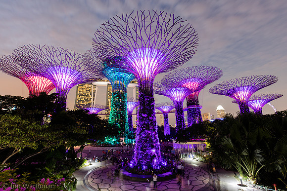 Super Trees I