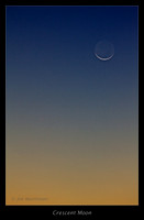 _MG_6481 - Version 2-G+
